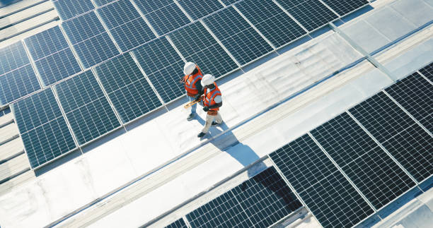 Best Asphalt Shingles Roofing  in Occidental, CA
