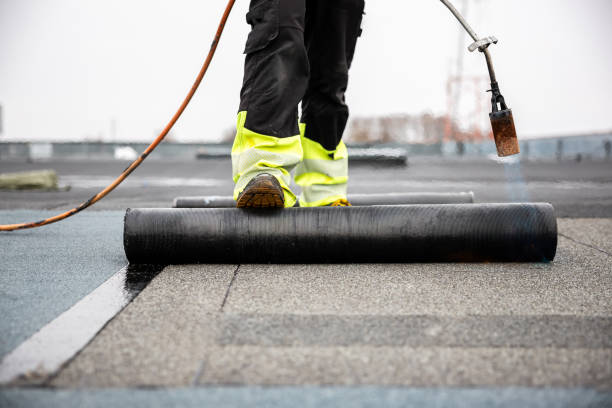 Best Roof Leak Repair  in Occidental, CA