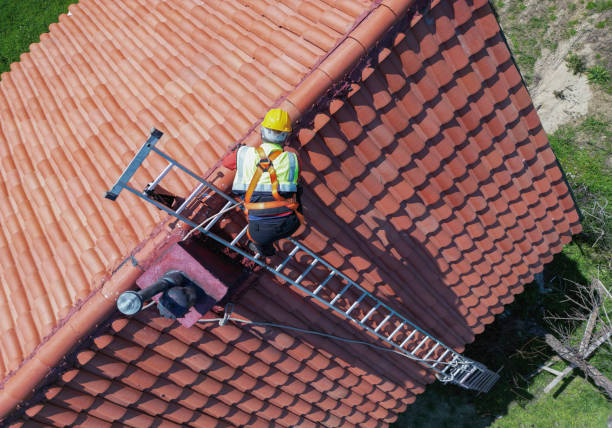 Best Siding  in Occidental, CA