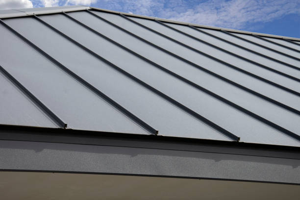 Best Roof Maintenance and Cleaning  in Occidental, CA